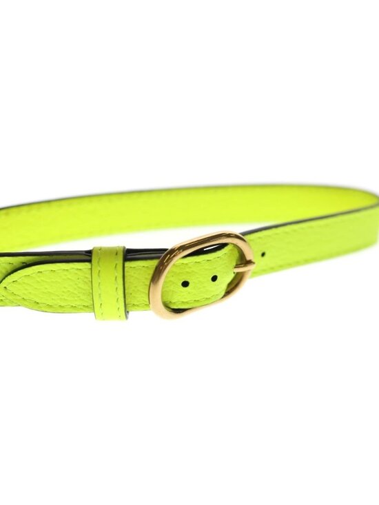 Gucci Diana Logo Leather Belt Yellow Set
